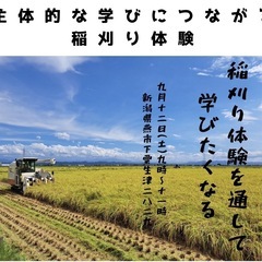 主体的な学びにつながる　稲刈り