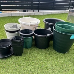 お譲り先が決定しました。の画像