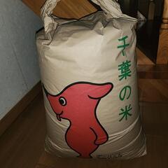 『決まりました！』令和6年　新米　コシヒカリ　玄米　1袋(30k...