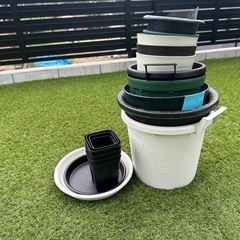 お譲り先が決定しました。の画像