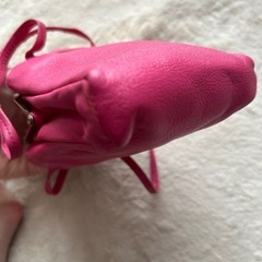 ピンク　ミニバック　
の画像