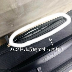 プロテカ◼️黒スーツケースの画像