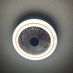小型シーリングファンライトの画像