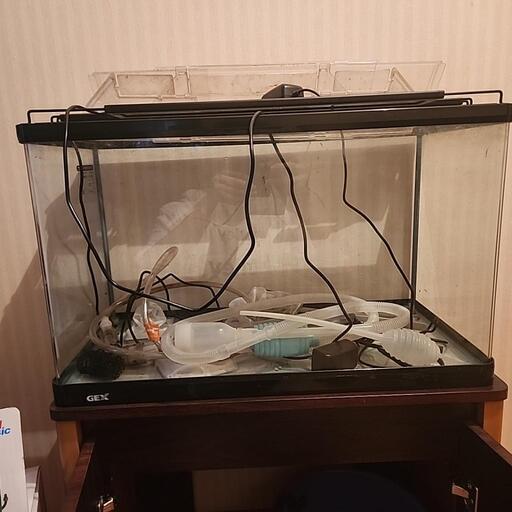 ６０cm水槽フルセット