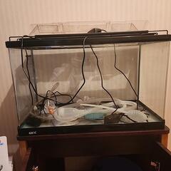 ６０cm水槽フルセット