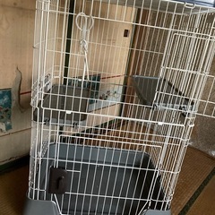 猫ゲージ