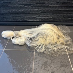 投網