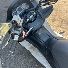 受付中 マジェスティ‼️お試し出品‼️の画像
