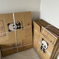 ダンボール　引越し