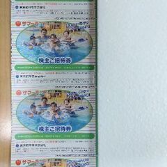 【購入者決定】東京サマーランド　株主優待　夏シーズン利用可　フリ...