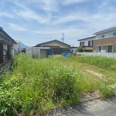 草刈り伐採の画像