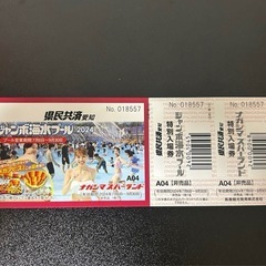 ナガシマスパーランド ジャンボ海水プール