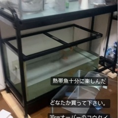 水槽6個 飼育セット 引退品