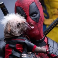 映画好き募集中！（女性メンバー欲しいです！）映画好き以外も是非！
