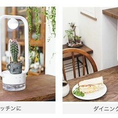 【美品】EPEIOS TANIQUE（タニーク）植物育成ライト、自動水やりの画像