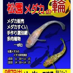 まつぞのメダカの輪　9月７日土ビッグルーフ滝沢