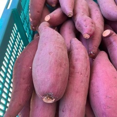 鳥取県　さつまいも　4キロ前後　新鮮　甘くて美味しい　期間限定品11　お米の代わりにどうぞ！の画像