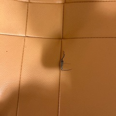 ソファーの画像