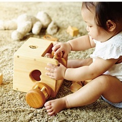 定価2.2万円✩ 山のくじら舎　赤ちゃんの宝石箱　木のおもちゃの画像