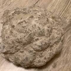 石 置物 ストーン その2 鉱物の画像