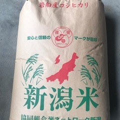 令和5年　岩船産コシヒカリ