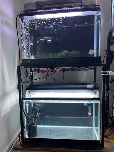 水槽アクアリウム　※決まりました※