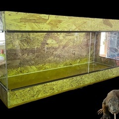 じゅんじゅんぺ様 904040サイドアクリル 天板金網スライドロック