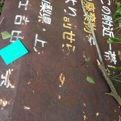 青木ヶ原樹海　散策 - その他