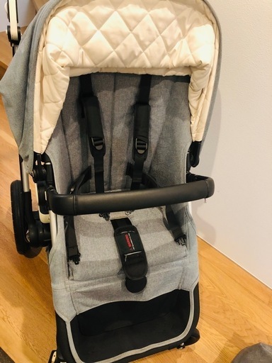 バガブー　カメレオン3   付属品多数