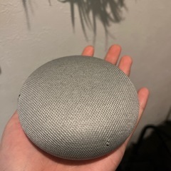 Googlehome