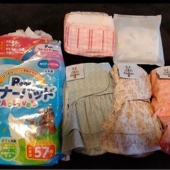 ペット用おむつカバー　マナーパッド　犬猫ウサギ