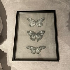 明日まで出品！23区内の方！蝶の絵です！