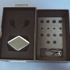 Hifiman svanar wirelessの画像