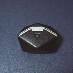 Hifiman svanar wirelessの画像