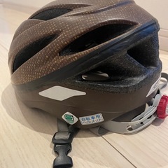 自転車　ヘルメットの画像