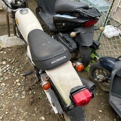 エイプ 50.125ccスクーターの画像