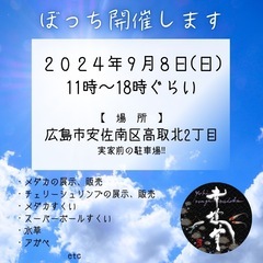 ぼっちメダカイベント