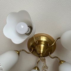 天井、照明シーリングライトの画像