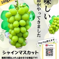 人気の温泉施設　神馬の湯♨️にてシャインマスカット直売‼️