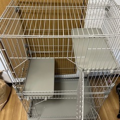 猫2段ゲージの画像