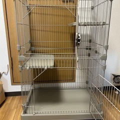 猫2段ゲージの画像