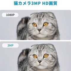 ペットカメラ(新品)残り5個の画像