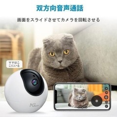 ペットカメラ(新品)残り5個の画像