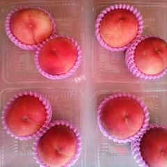 山形の桃　川中島　2個入　税込350円