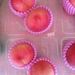 山形の桃　川中島　2個入　税込350円の画像