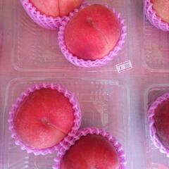 山形の桃　川中島　2個入　税込350円の画像