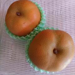 豊水　小牧市　沖仙さんの梨　税込400円
