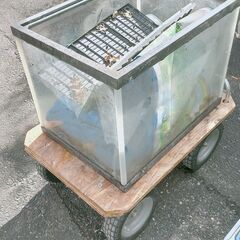 ≪商談中です≫水槽いろいろ　0円からあります。の画像