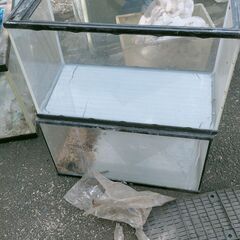 ≪商談中です≫水槽いろいろ　0円からあります。の画像