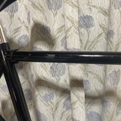 how i roll champ の画像